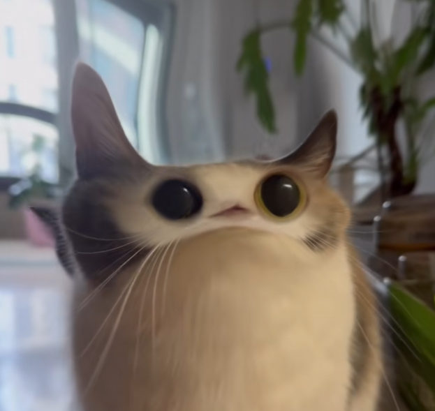 MEEPCAT