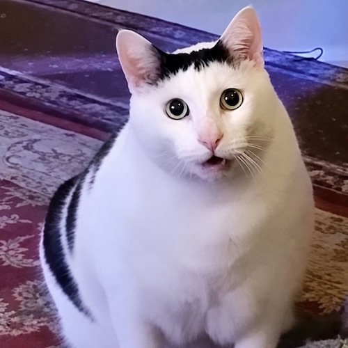 HUH