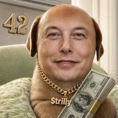 Elon