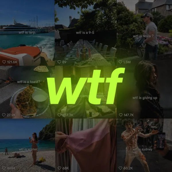 wtf
