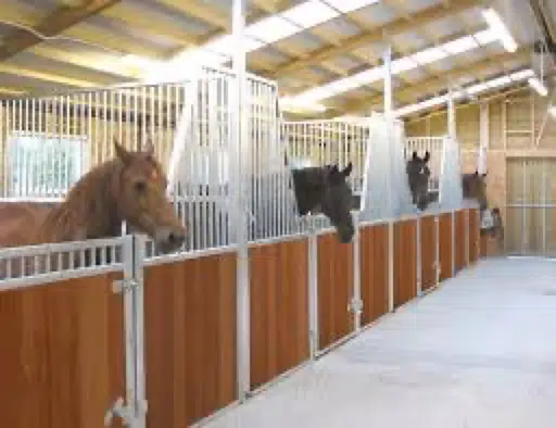 stables