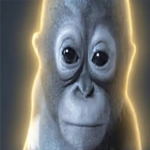Budi