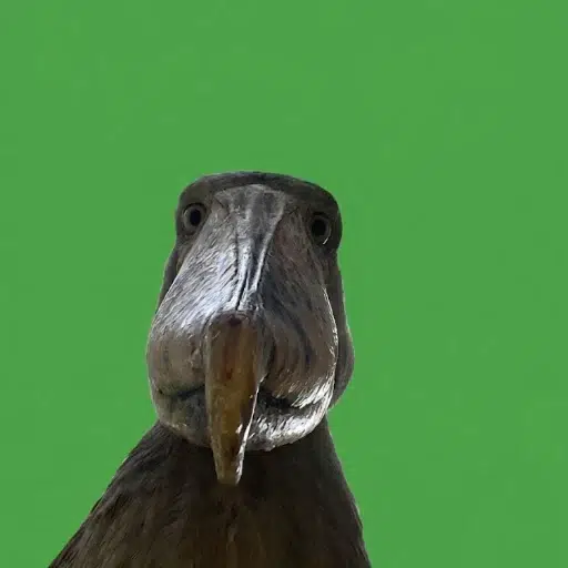 見詰め