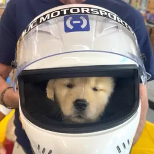 HALO