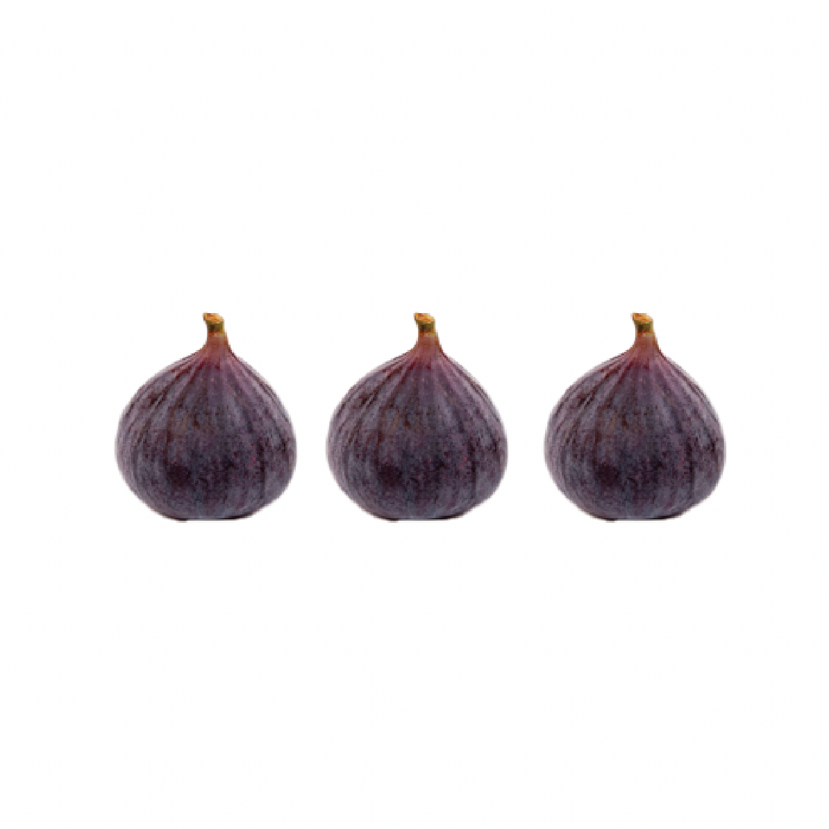 3 figs