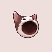 POPCAT — Popcat Solana token traded by KOLs