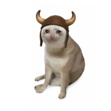 BULLCAT