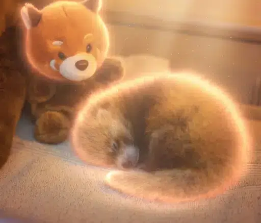CUB