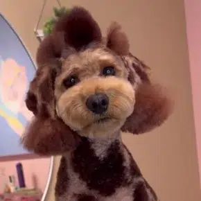 Neck