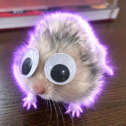 仓鼠