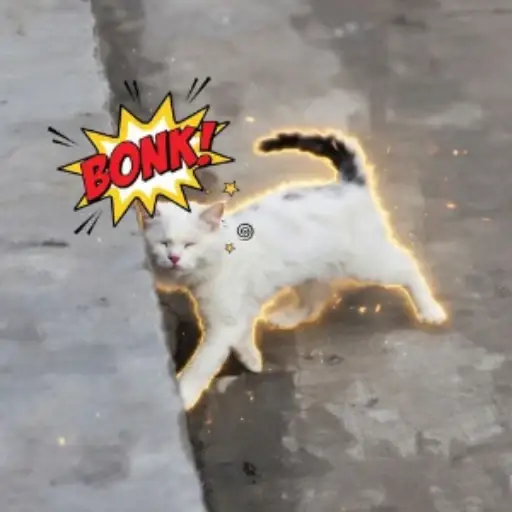Bonkcat