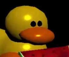 DUCKY