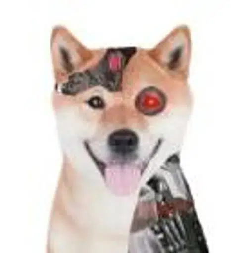 AI