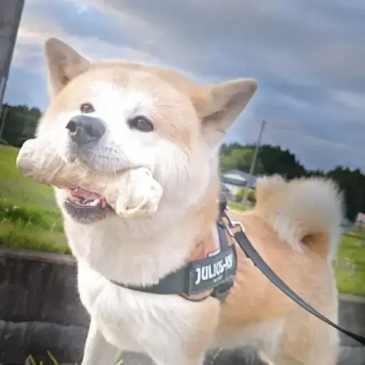MUKU