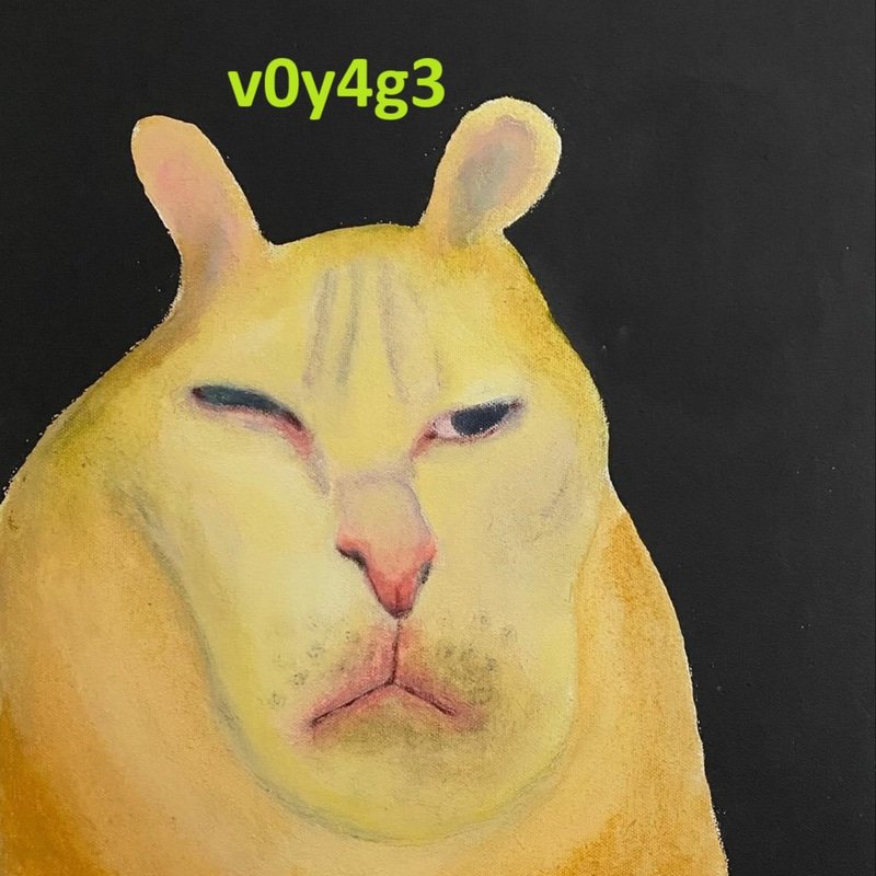V0Y4G3 logo