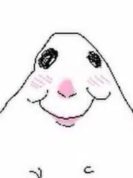 HAM