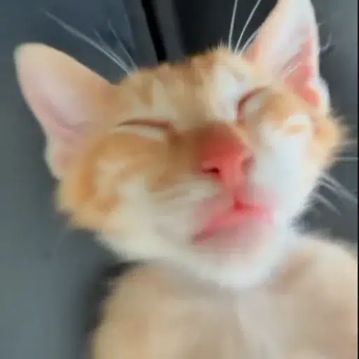 Miguel