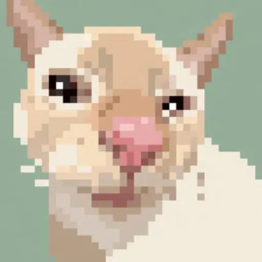 Cutecat