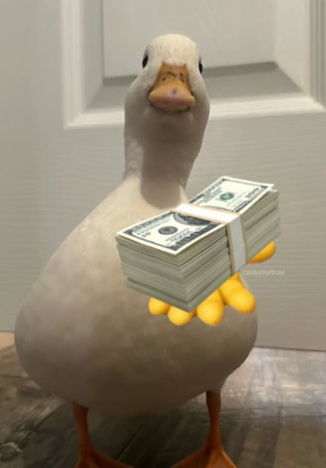 CALLDUCK