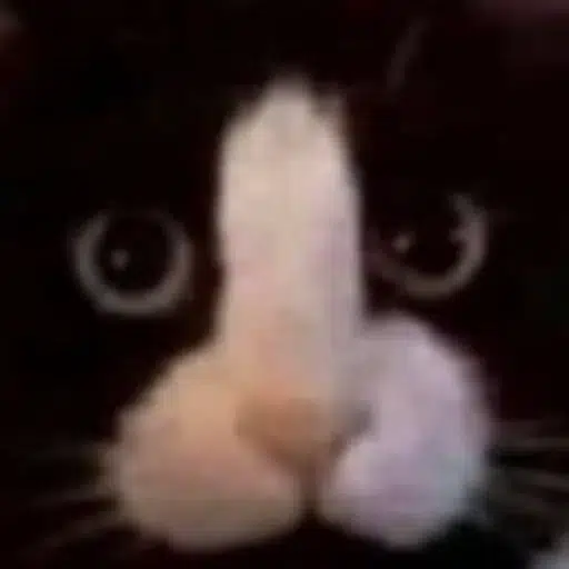 DD