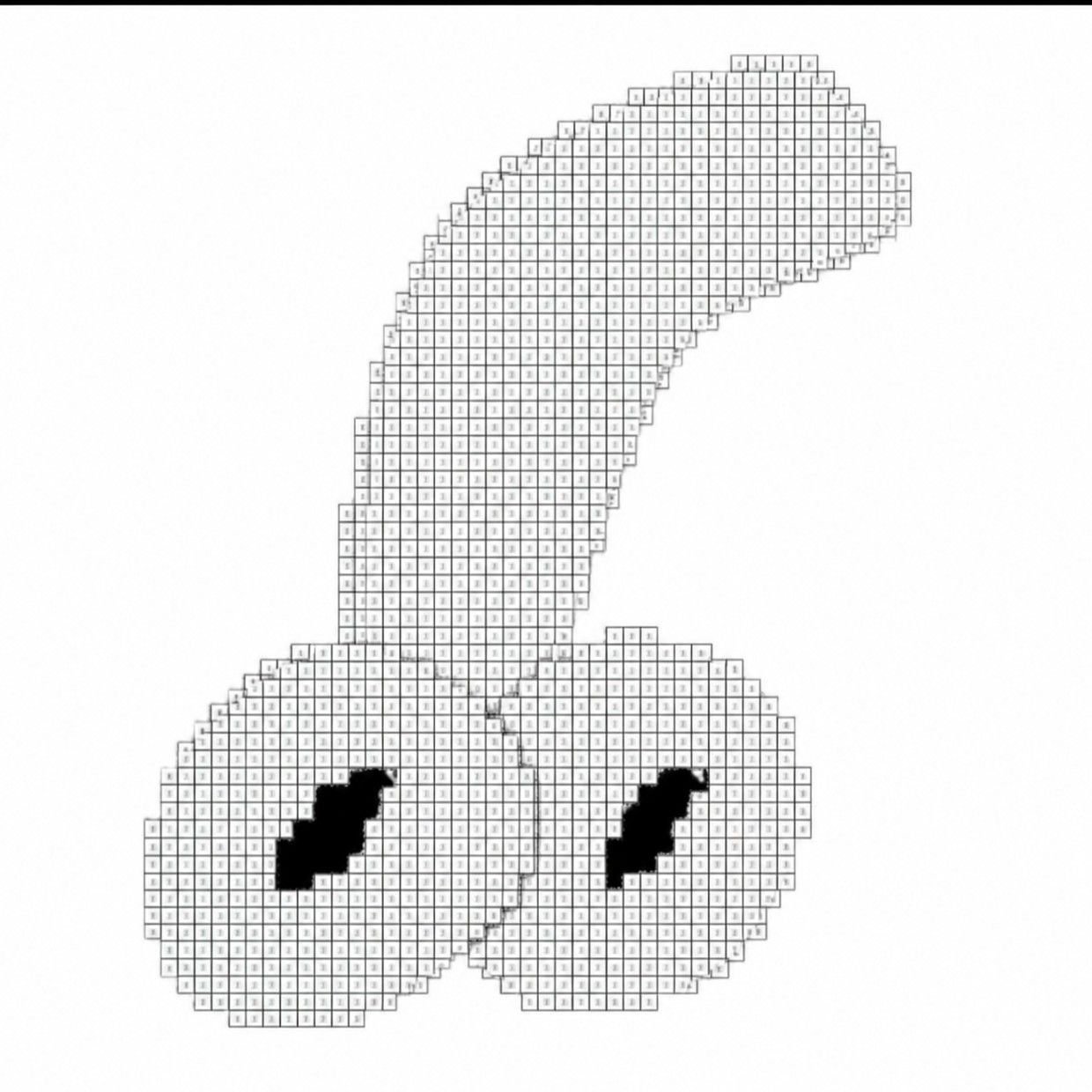 PERPENIS