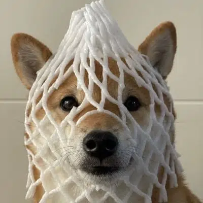 $wDOG token logo