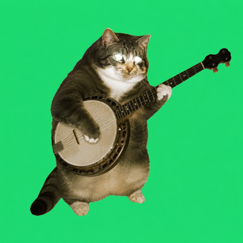 BANJOCAT logo