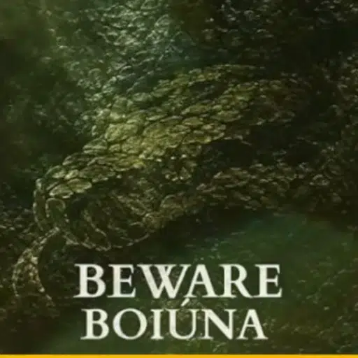 BOIÚNA — BOIÚNA Solana token traded by KOLs