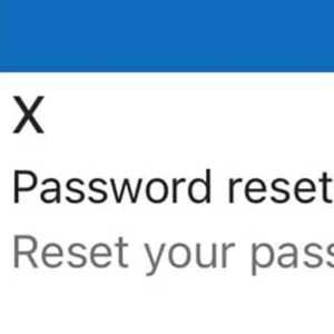 RESET