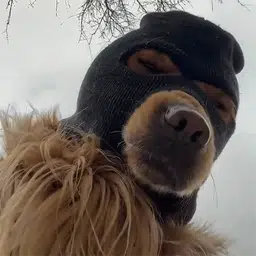 SKI