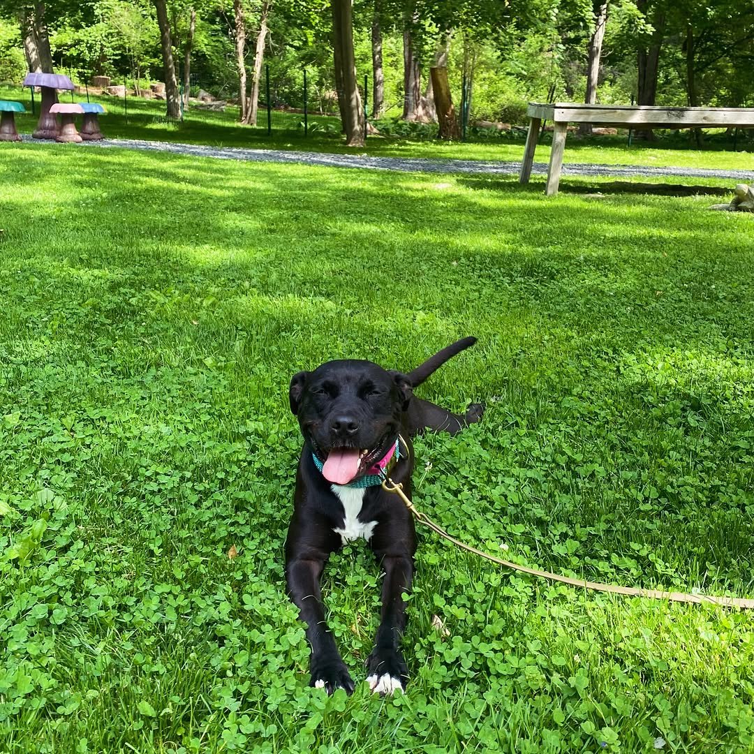 Jude