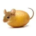 MOUSEPOTATO