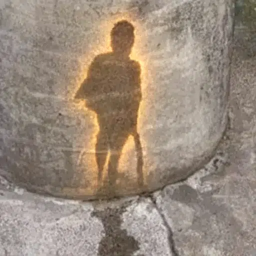 $PISS token logo