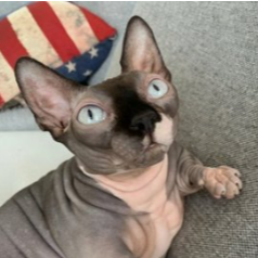 Nala