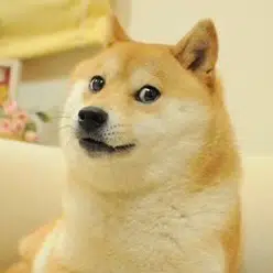kabosu
