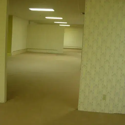 Backrooms