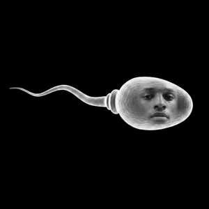 SEMAN