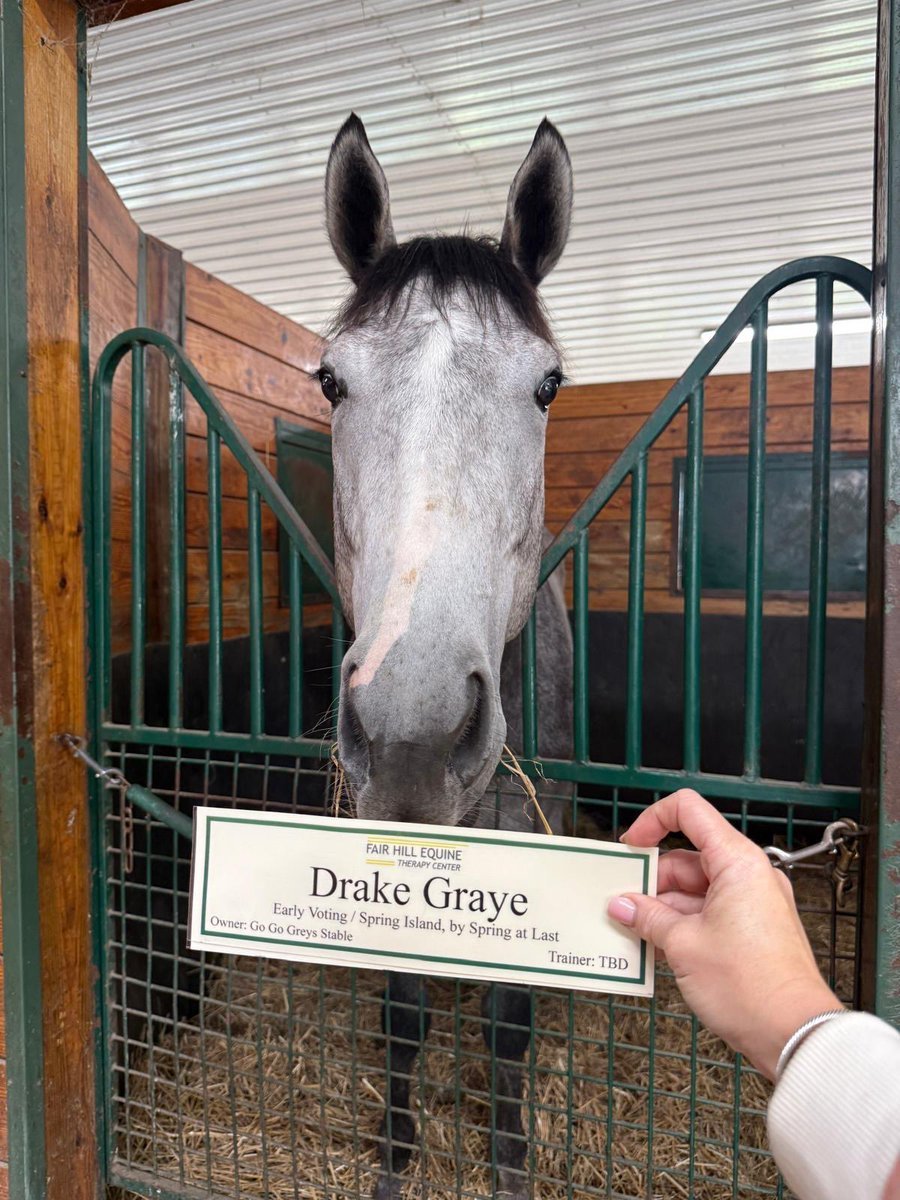 GRAYE