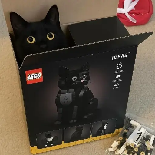 LEGO