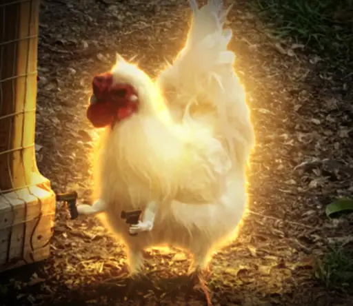 COCK