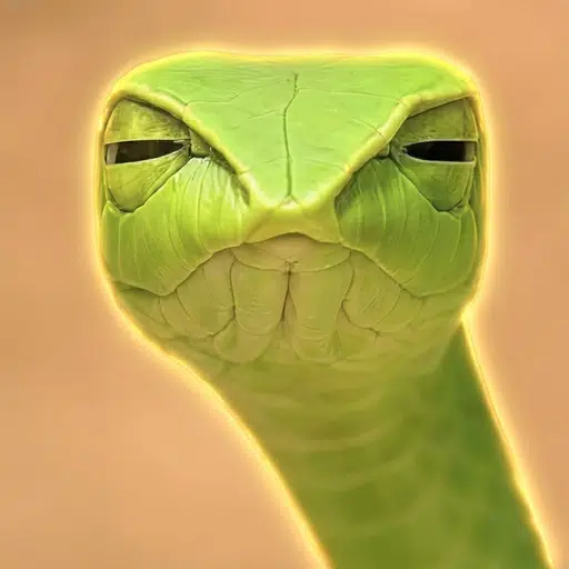 Stare
