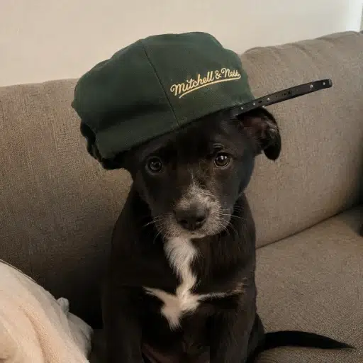 Cap
