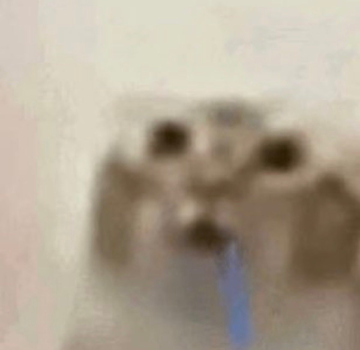 cet