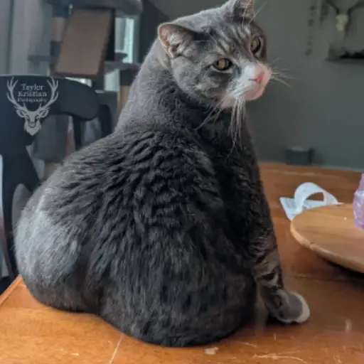 MORTY