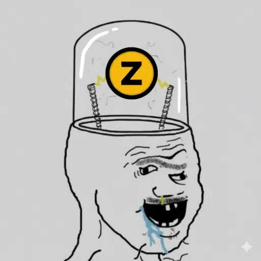 ZCSH