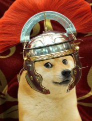 DOGEUS