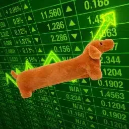 Dachshund