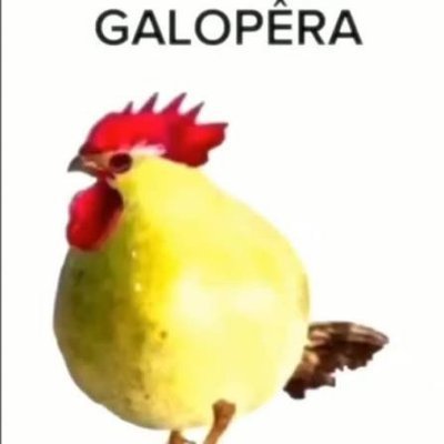 GALOPÊRA