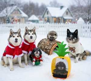 ELONIMALS