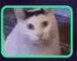 Solcat